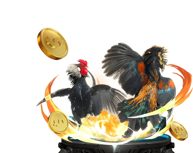 Câu lạc bộ VIP 23win01
